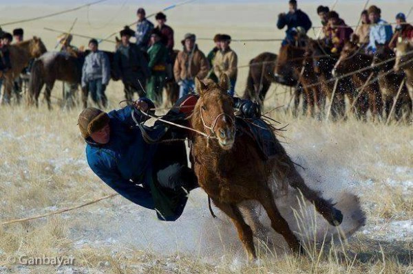 Монгол омогшил, бардамнал, бахархал болсон гэрэл зургийн түүвэр